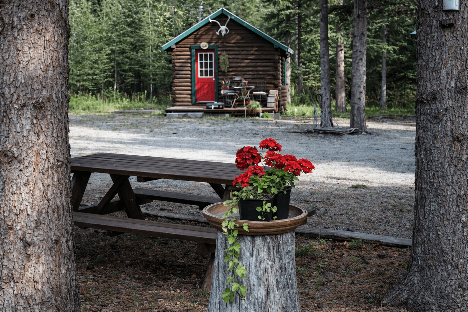 (CZO) Chistochina Airport – Cabin Fever