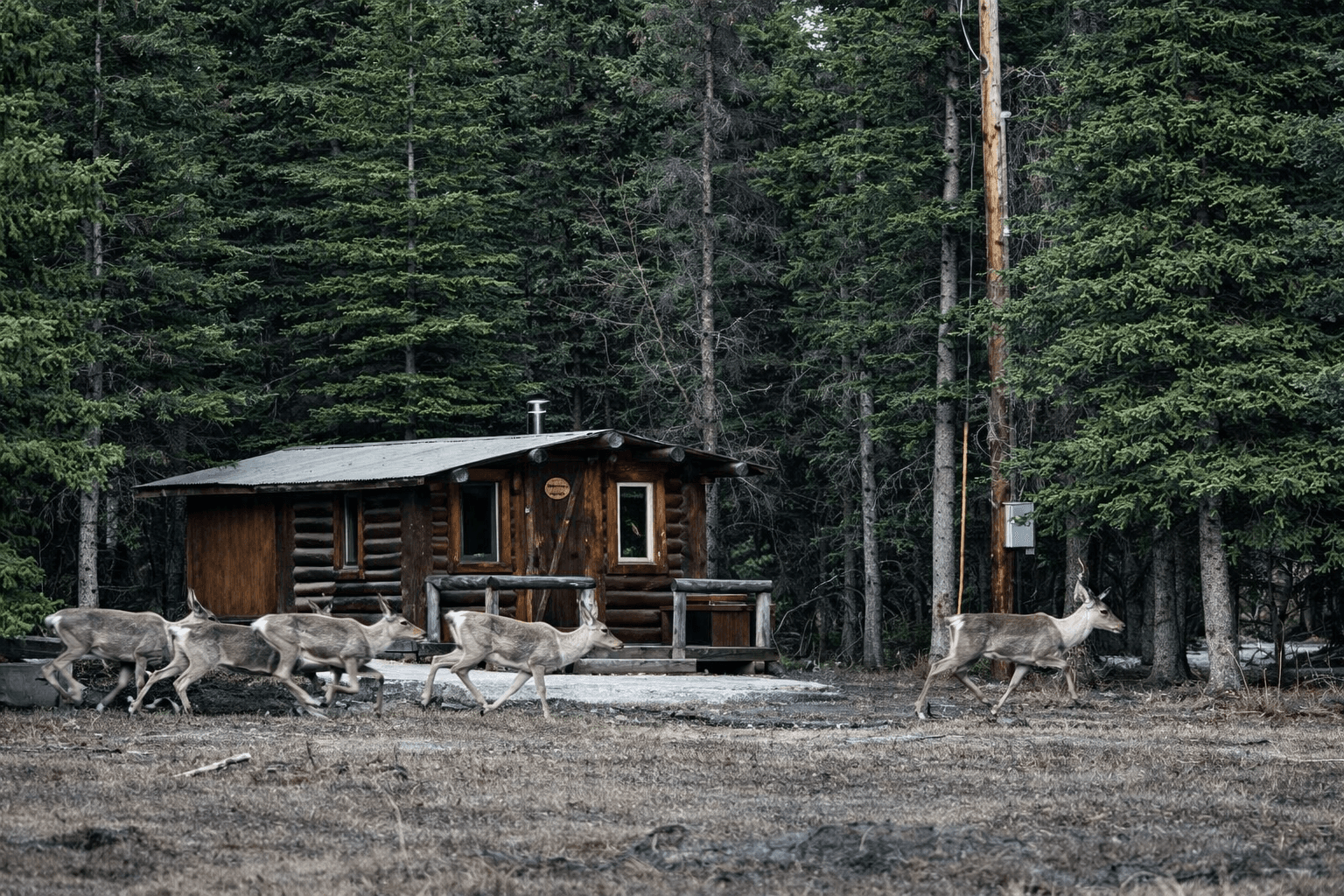 (CZO) Chistochina Airport – Hermit’s Roost